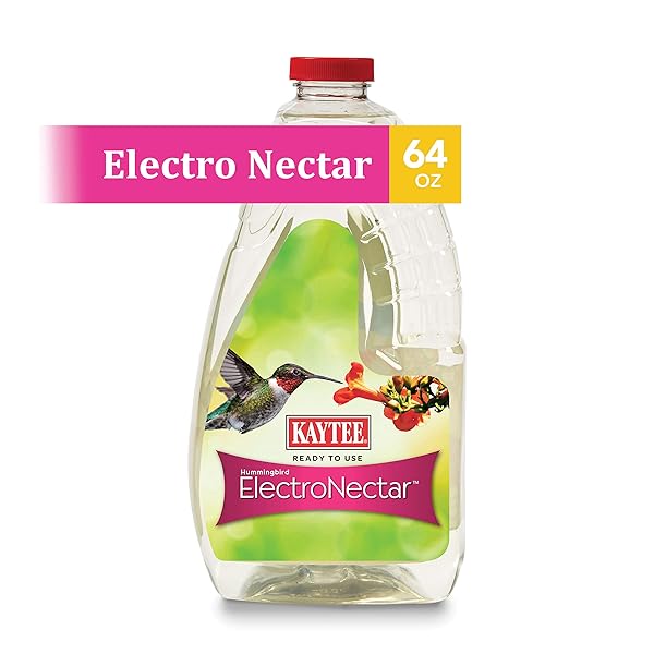 KAYTEE HUMMINGBIRD ELECTRONECTAR WILD BIRD FOOD, READY TO USE, 64 OUNCES