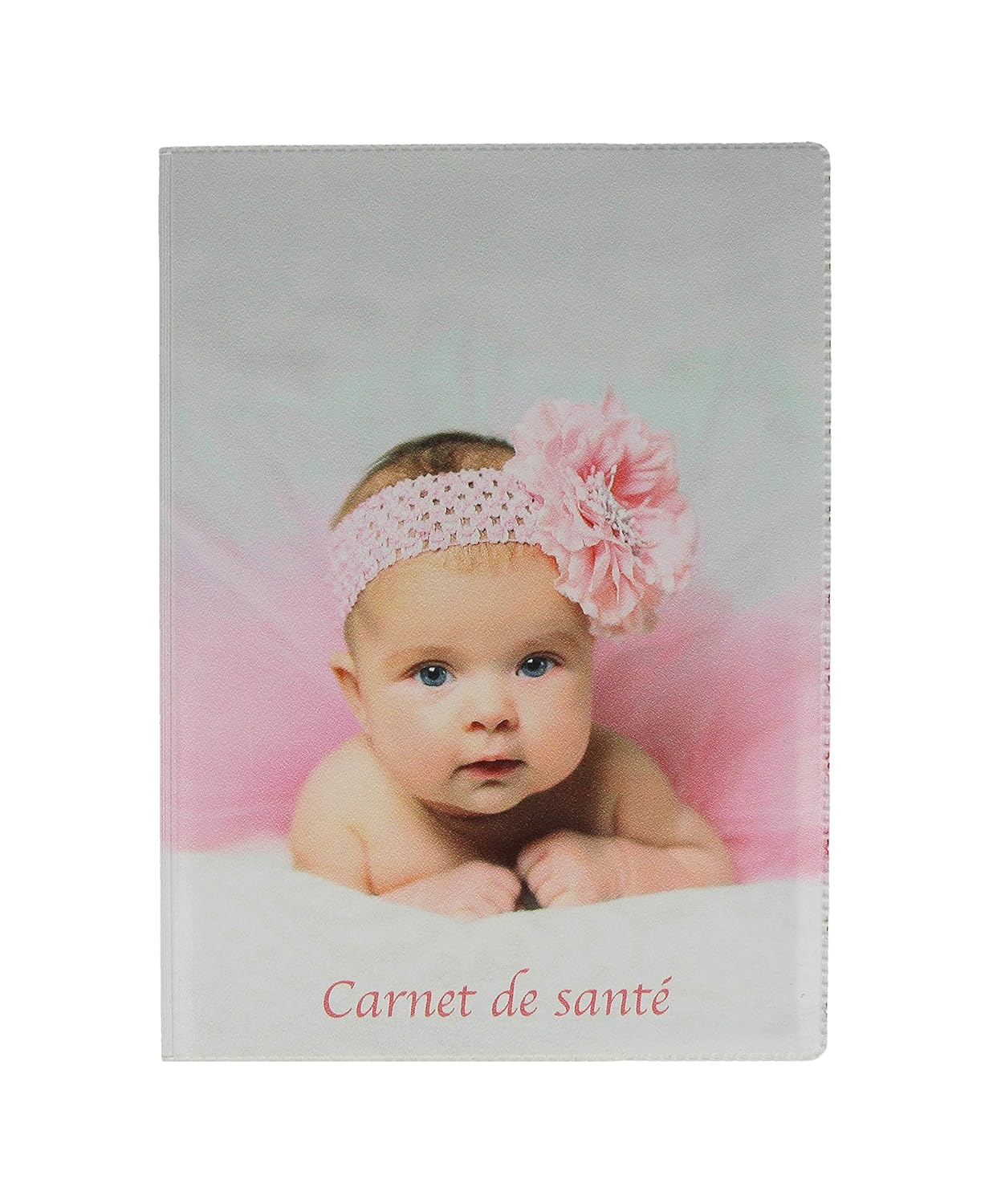Protege Carnet De Sante Bebe Fille Cadeau Naissance Dossier Sante Etui Fabrication Francaise Enfant Bebe Puericulture Protege Carnet De Sante Eng Bouldermicrofinance Org