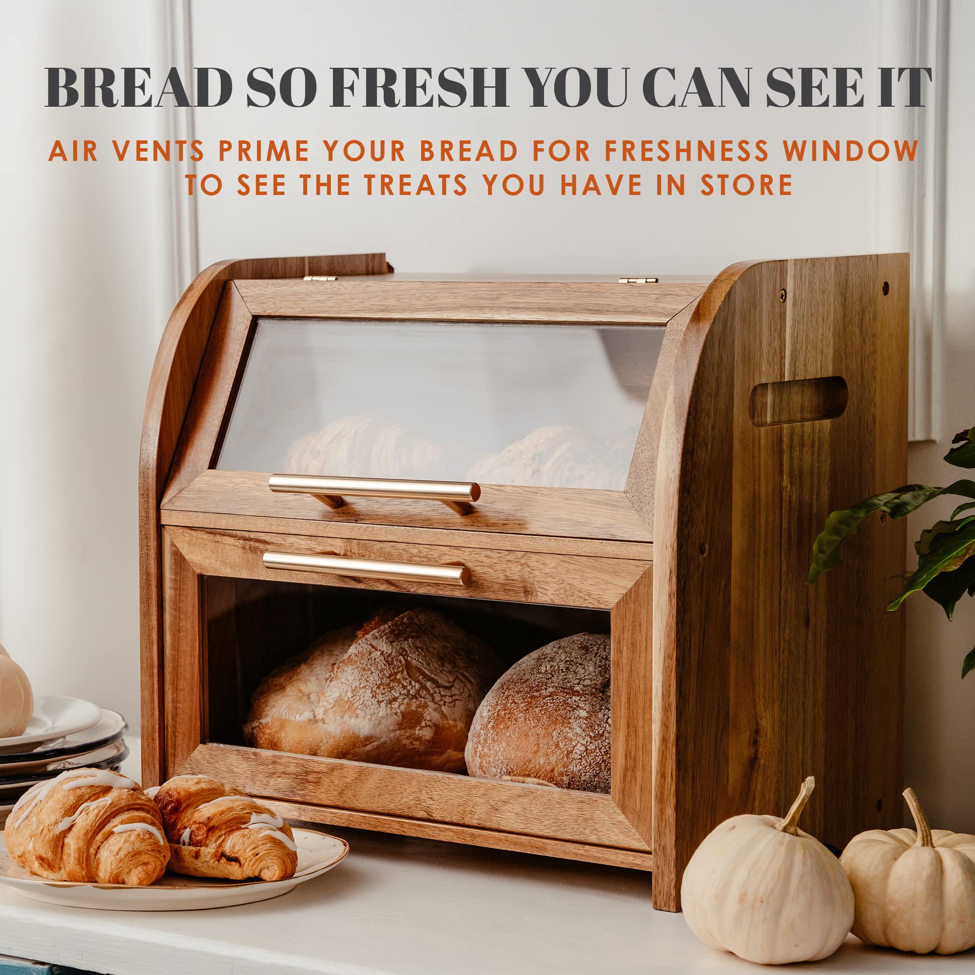 Bread Box for Kitchen Countertop