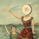 In The Aeroplane Over The Sea