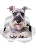 Winston & Bear Super Schnauzer Dog Wall Decals - 2 Pack - Schnauzer 3D Sticker Decals for Walls, Cars, Toilet and More - Retail Packaged Gray Schnauzer Gifts