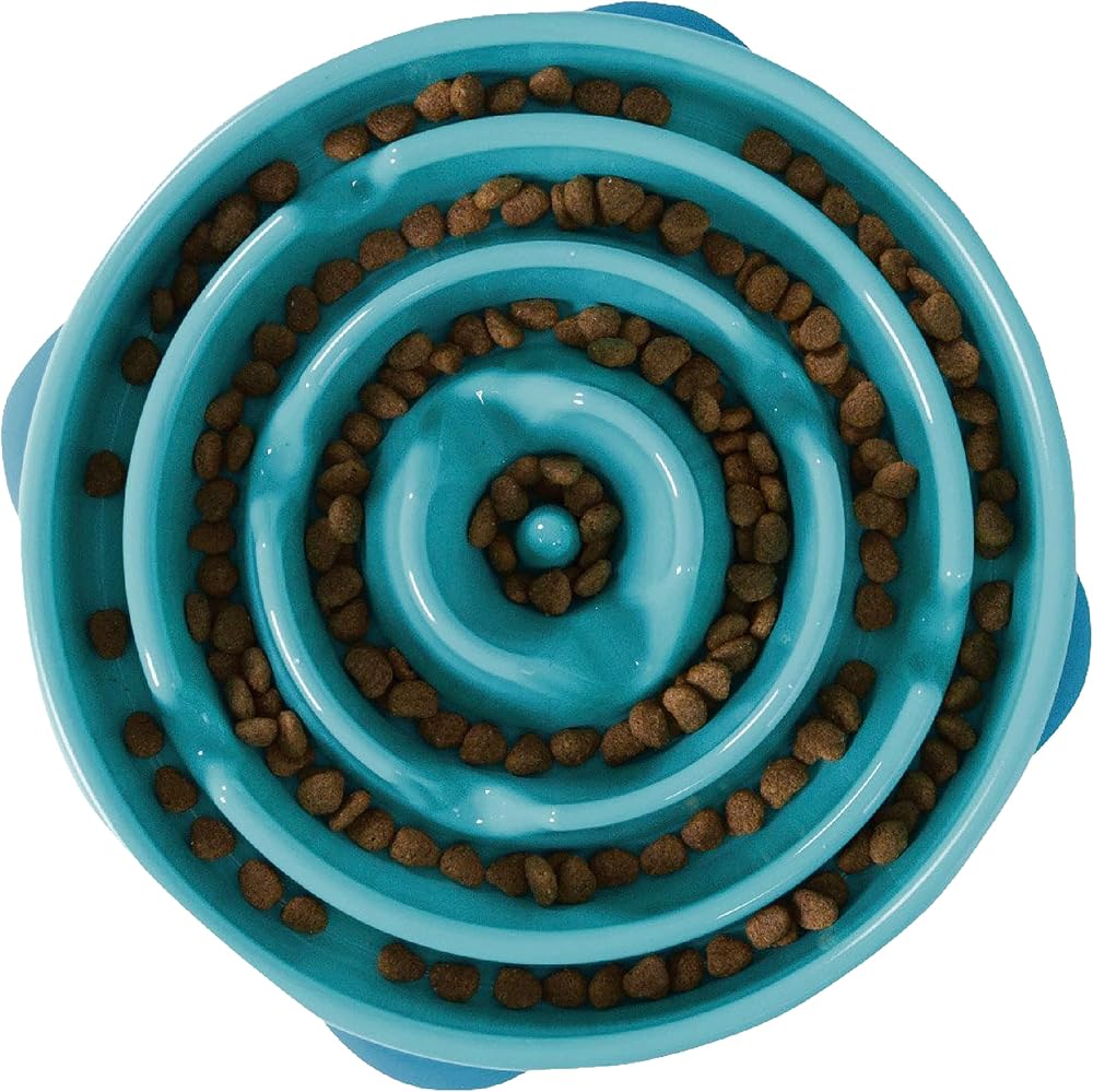 Outward Hound Slow Feeder Dog Bowl Large Turquoise – Non-Slip, Durable