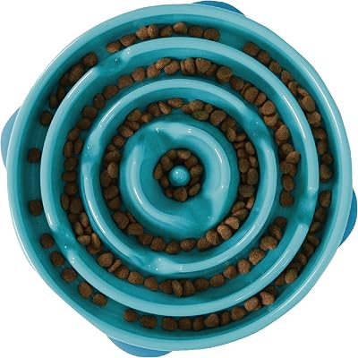 Outward Hound Slow Feeder Dog Bowl Large Turquoise – Non-Slip, Durable