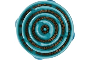 Outward Hound Large Slow Feeder Bowl, Puzzle Maze for Fast Eaters, Medium to Large Dogs, Helps Prevent Bloat & Aid Digestion, Holds 4 Cups Wet or Dry Food, Non-Slip, Made Without BPA, Turquoise