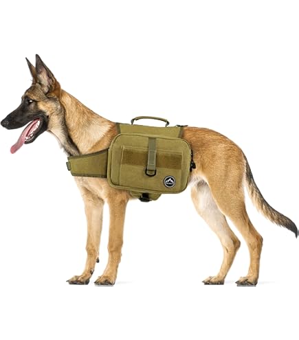 Backpack Harness Backpacking Dog Leash Backpacks For Dogs RUFFWEAR