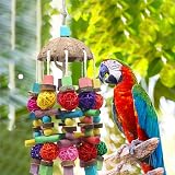 MQUPIN Large Parrot Toy with Coconut Shell, Natural Wood Beak Gym for African view 2