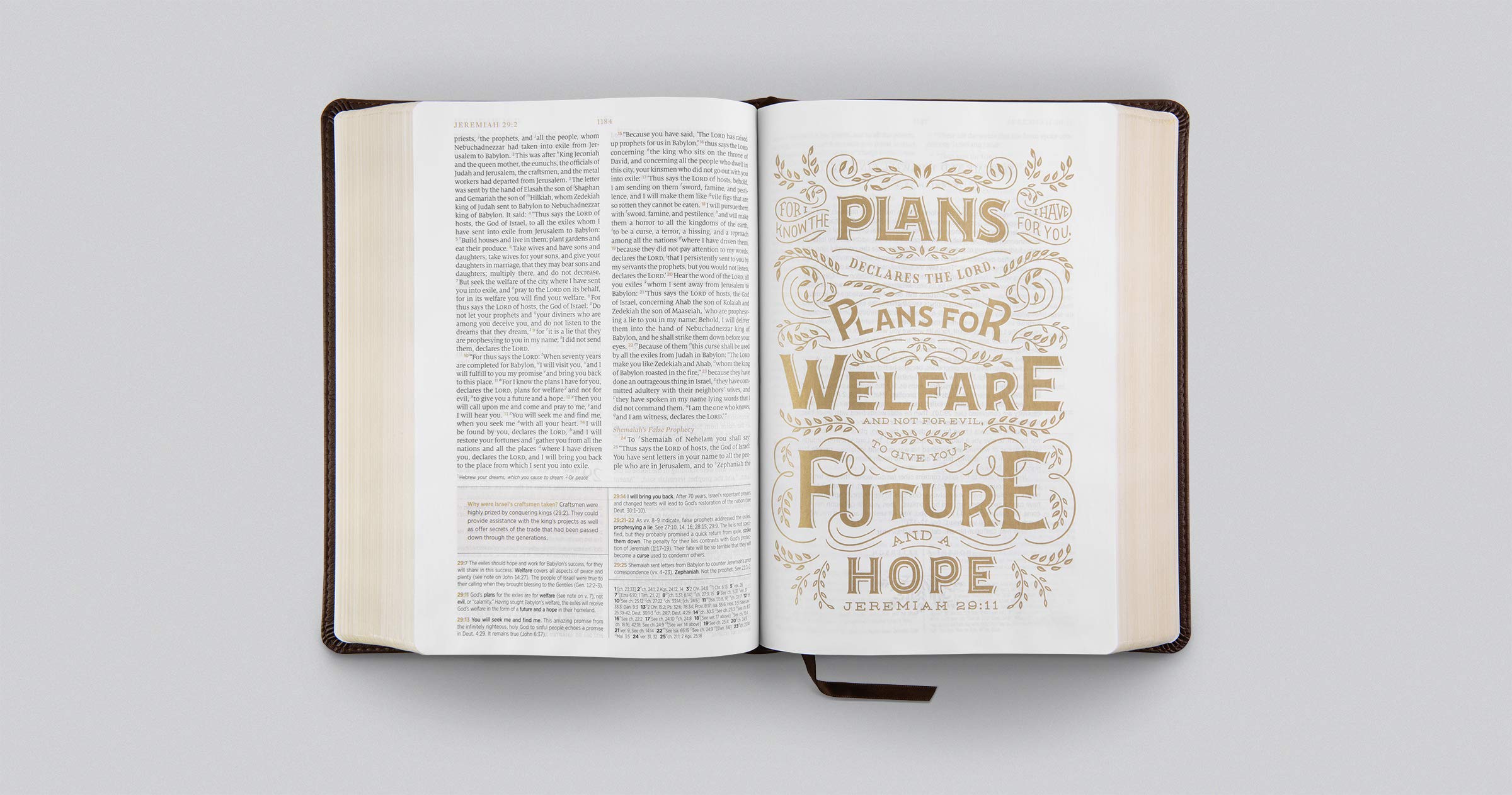 ESV Women's Study Bible (TruTone, Deep Brown): Holy Bible, English Standard Version