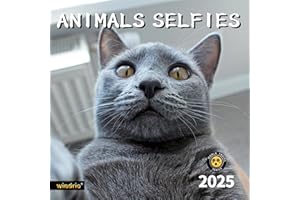 WINDRIO 2025 Wall Calendar,Funny Calendar 2025, January 2025 - December 2025, Wall Calendar Funny Animal Memes, 12" x 24" Opened, Full Page 12 Months Thick Paper for Gift Calendar Organizing Planning
