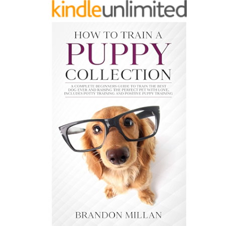 brandon mcmillan potty training