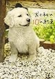 犬と私の10の約束