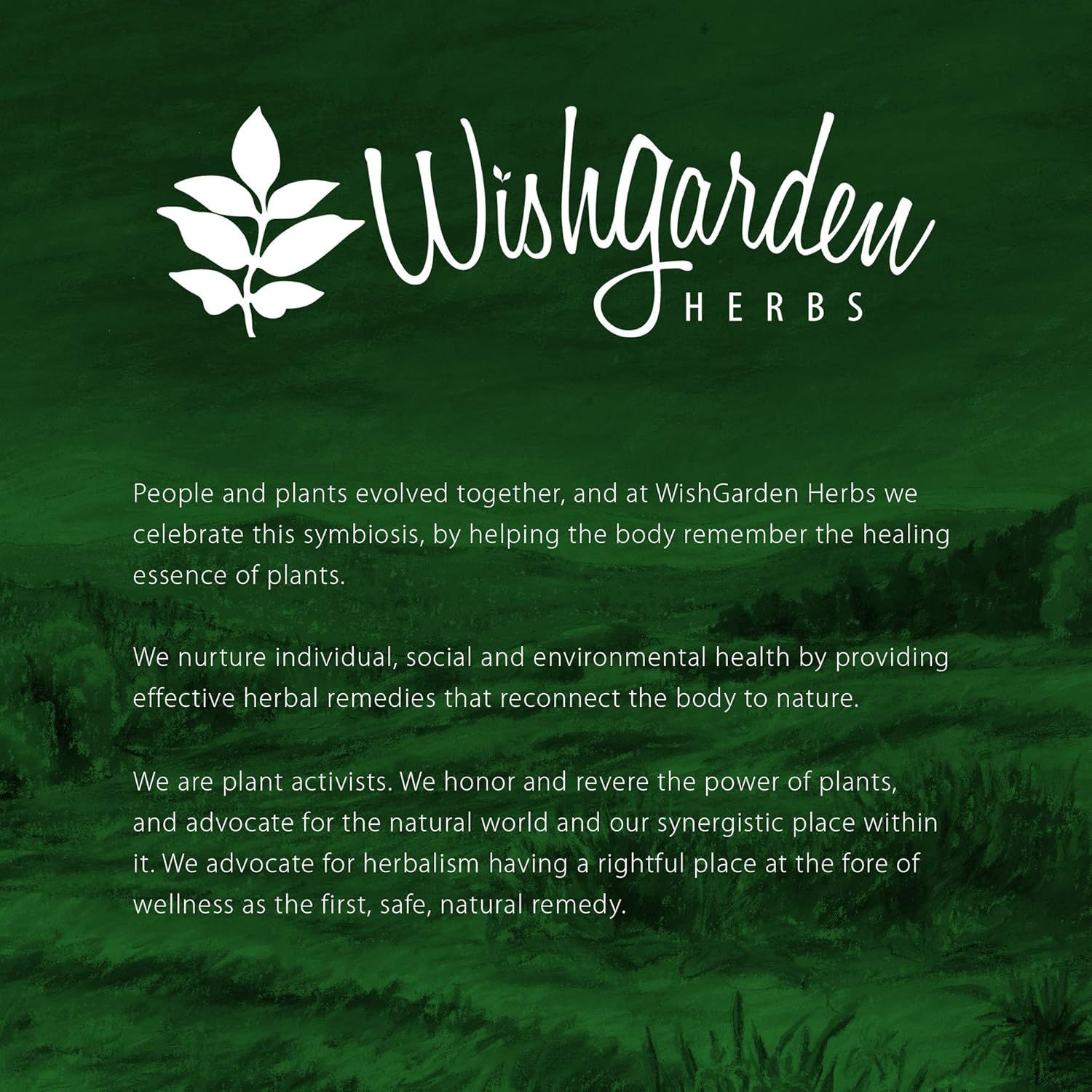 WishGarden Herbs AfterEase Tincture - Postpartum Contraction Drops for After Birth Pain Relief with Cramp Bark and Organic Black Haw, After Birth Essentials for Mom, 1 Ounce: Health & Personal Care