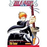 Bleach, Vol. 1