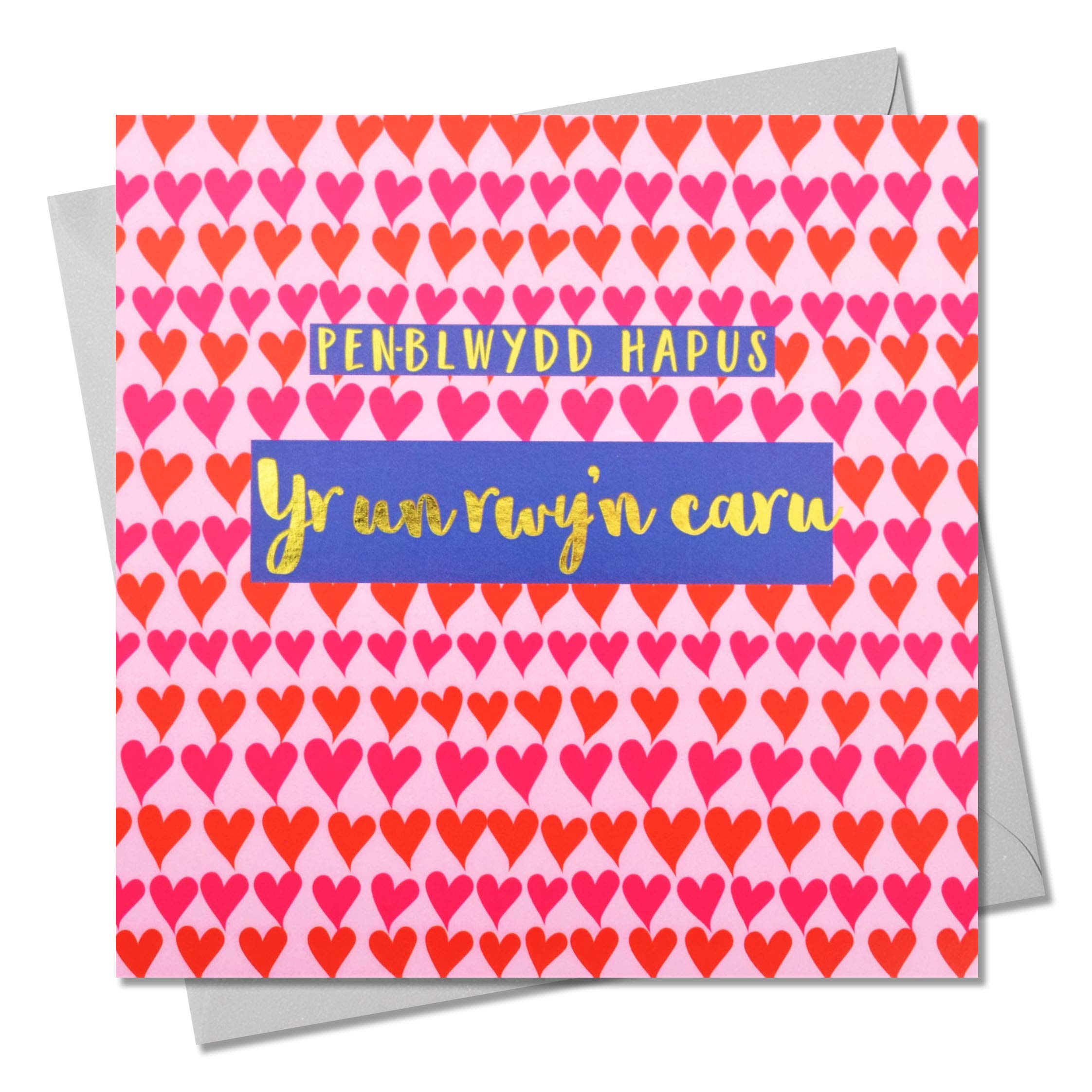 Claire Giles Greeting Cards, Welsh Happy Birthday Card, Penblwydd Hapus, to The One I Love Greeting Card, Text Foiled in Shiny Gold