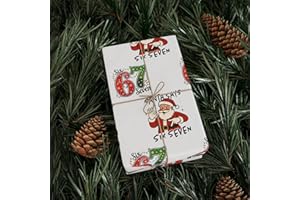 67 Meme Christmas Gift Wrap,Funny Christmas Gift Wrap for Kids, Childrens Brain Rot, Funny Gift Idea, Holiday Wrapping Roll, 