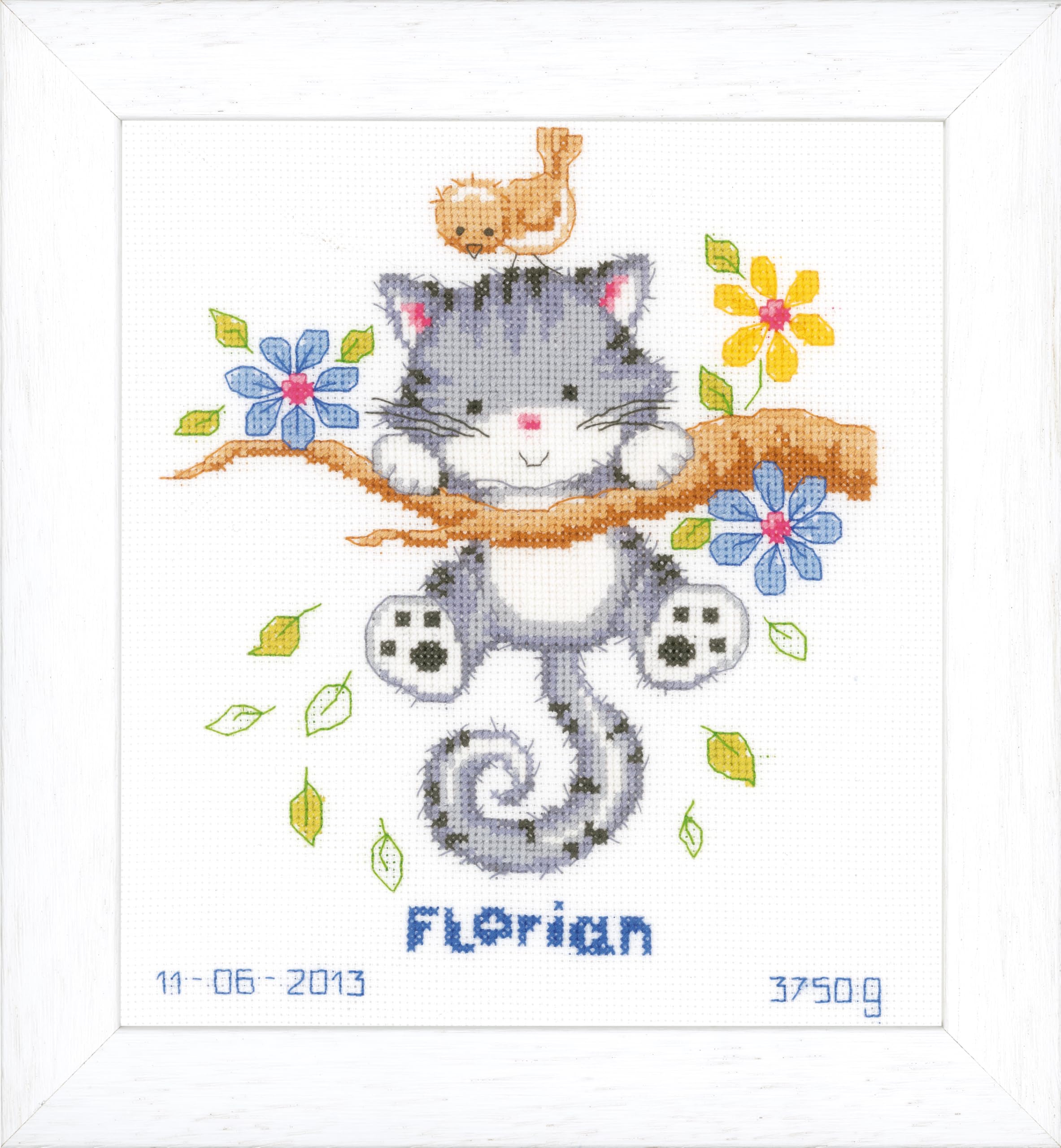 Vervaco Birth Record Kitten Counted Cross Stitch Kit, Multi-Colour