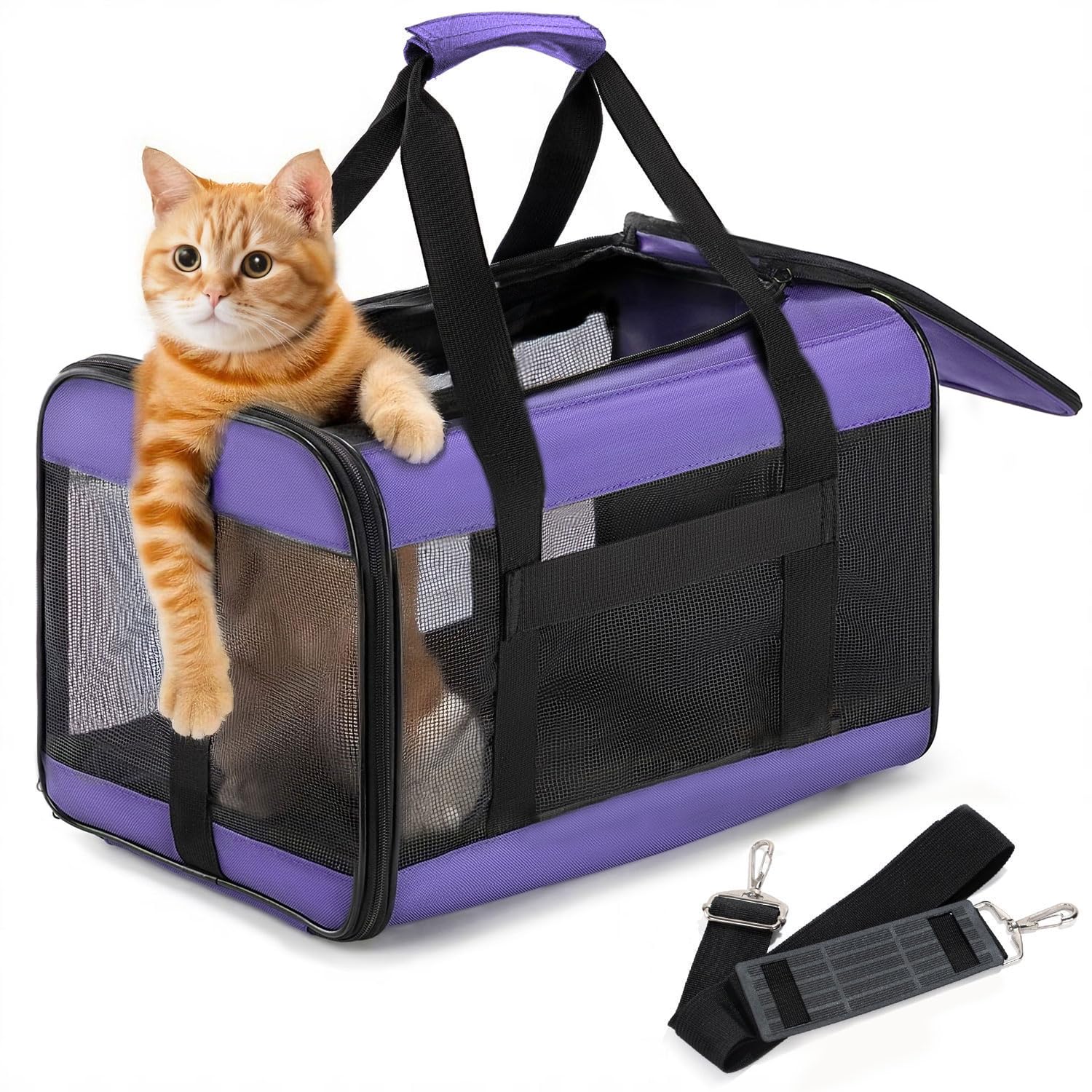 Photo 1 of Conlun Cat Carrier Airline Approved, Soft-Sided Dog Carrier with Inner Safety Leash, Pet Transport Carrier for Small-Medium Cats Puppies up to 15 Lbs, Collapsible Travel Kitten Carrier Bag -Purple M