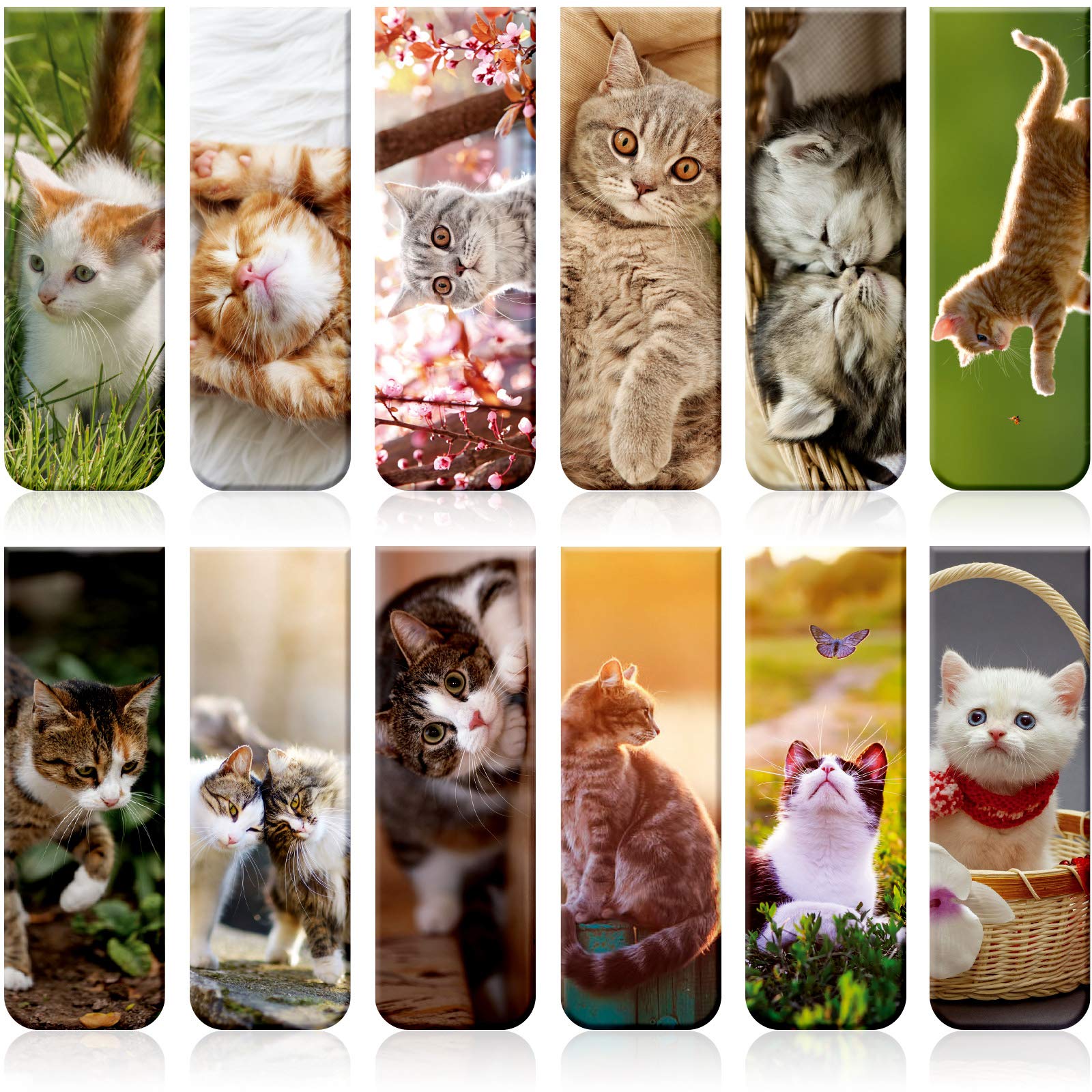 12 Pieces Magnetic Bookmarks Cats Magnet Page Markers Assorted Book Markers Set for Students Reading