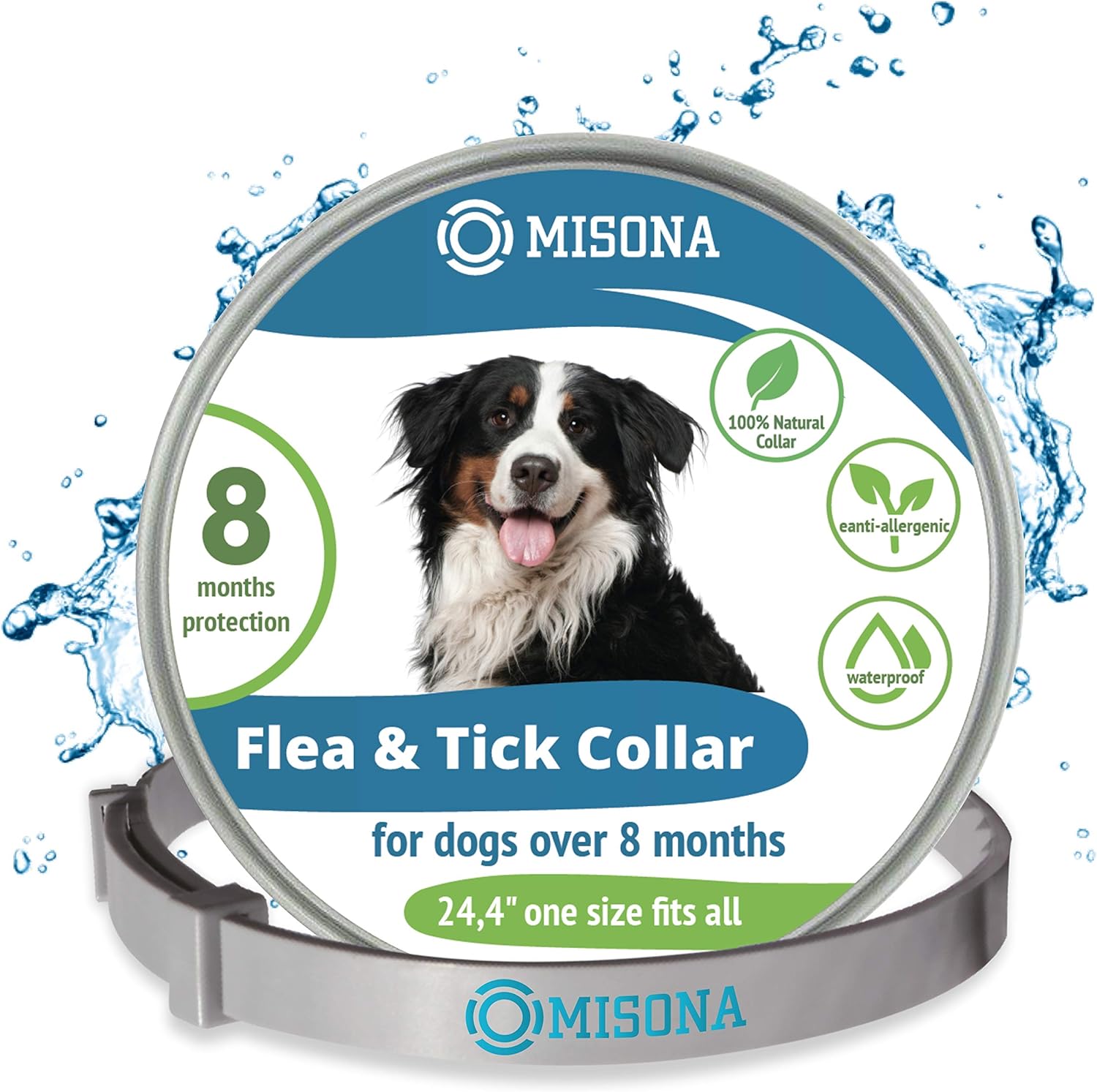 my puppy just threw up