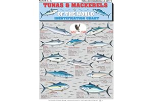 TIGHTLINES PUBLICATIONS Saltwater Fish Identification Chart #9 (Tunas & Mackerels) - Waterproof Quick Reference Fishing Guide - Species ID - Double-Sided & Easy to Read - Great Gift for Beginners