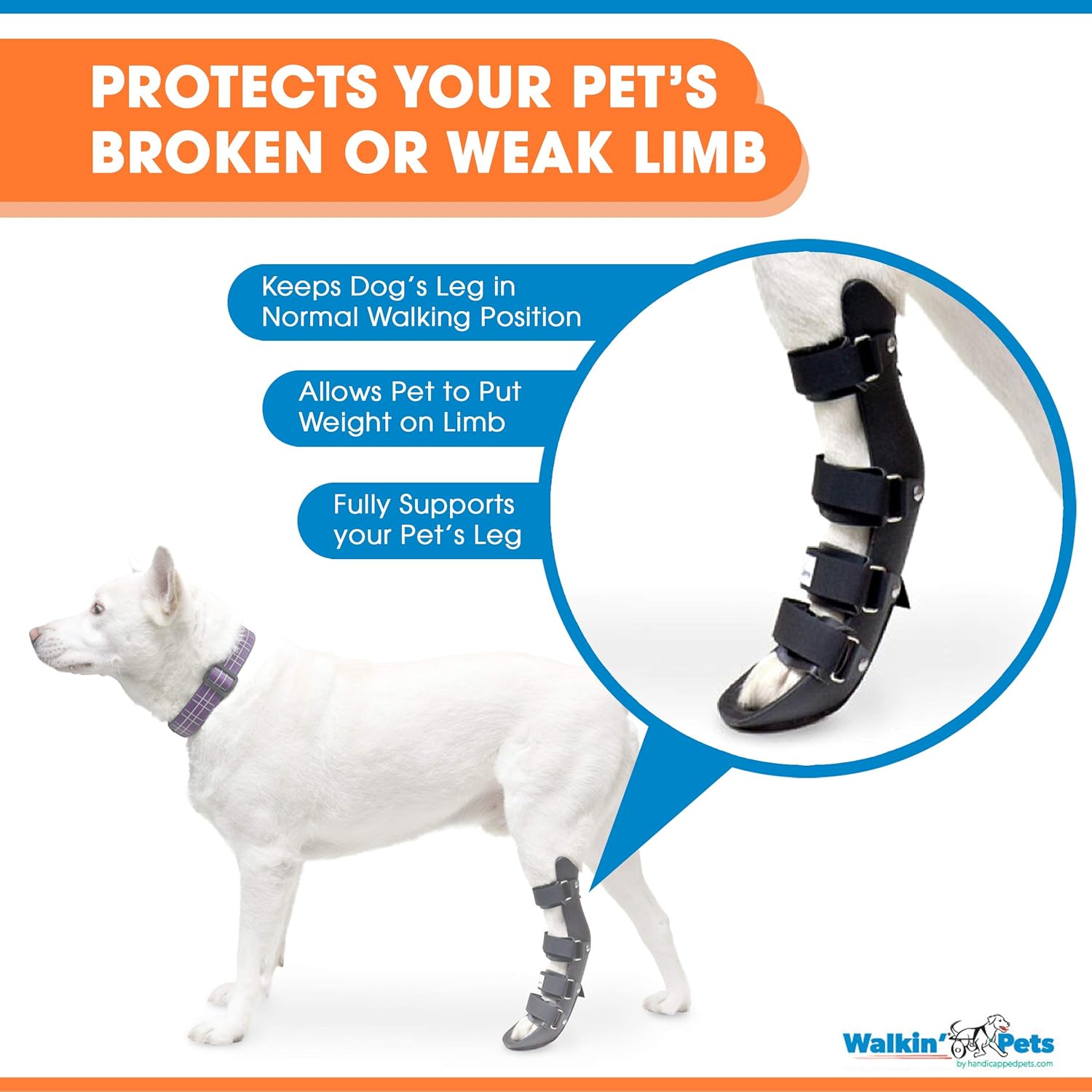 dog foot brace