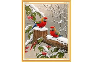 Findvoor Stamped Cross Stitch Kits for Beginners Full Range of Cross Stitching Embroidery Pattern for Kids or Adults, 11CT DIY Needlepoint Embroidery Starter Kits-Bird Snowy 15.7x19.7 inch