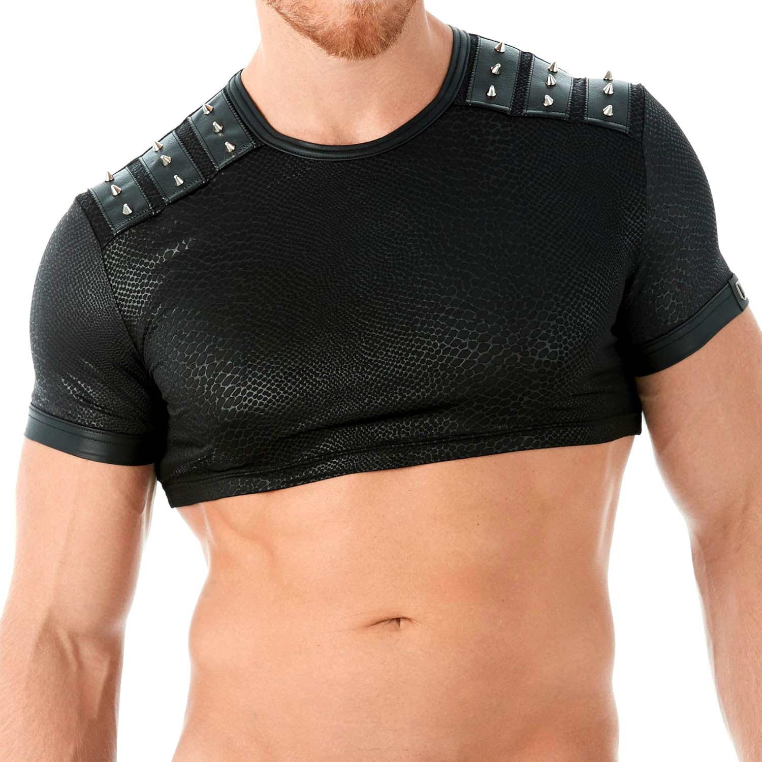 gregg homme torrid