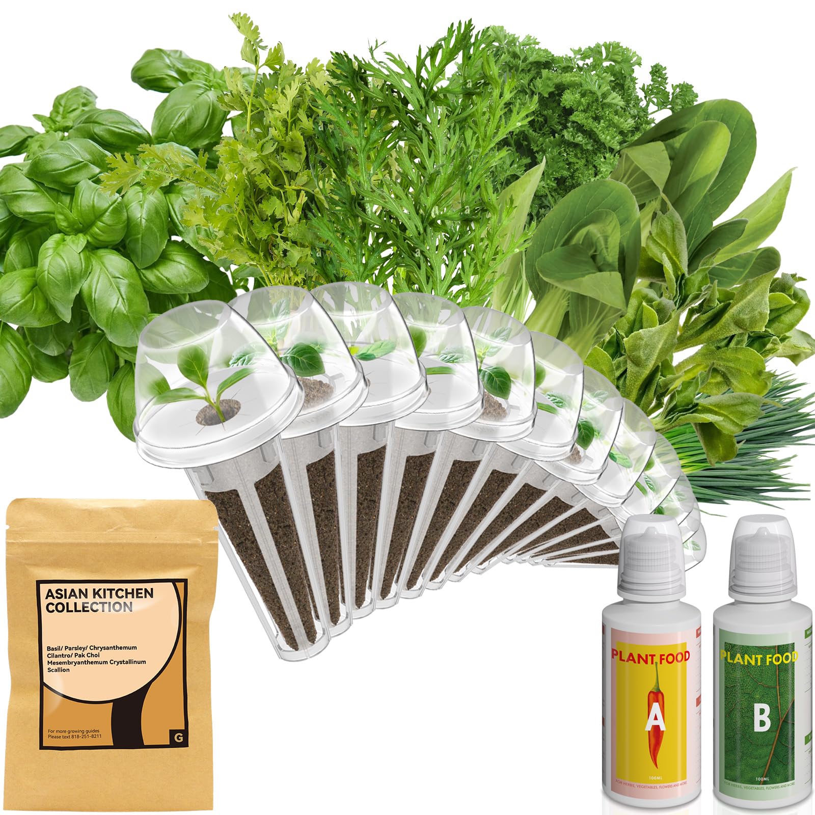 inbloom Gourmet Herb Seed Pod Kit for AeroGarden, iDoo, Ahopegarden with Basil, Parsley, Cilantro, Chrysanthemum, Pak Choi, Crystalline Ice Plant, Onion, Hydroponics Growing System Supply (12-Pod)