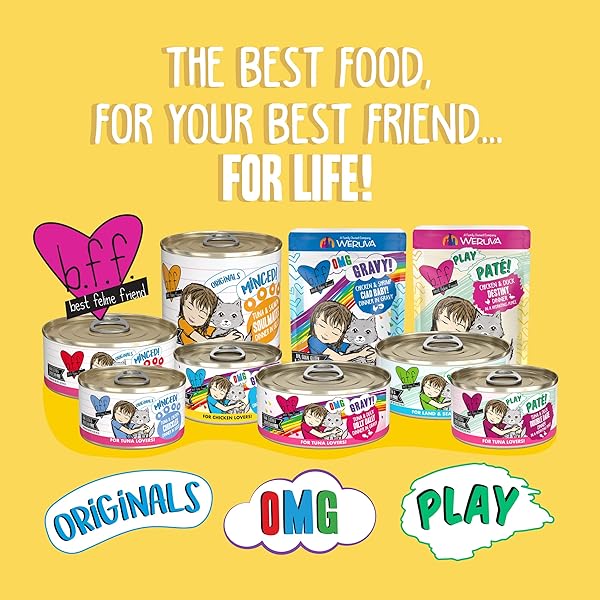 WERUVA B.F.F. OMG – BEST FELINE FRIEND OH MY GRAVY!, CHICKEN CLOUD 9 WITH CHICKEN IN GRAVY, 5.5OZ CAN (PACK OF 8)