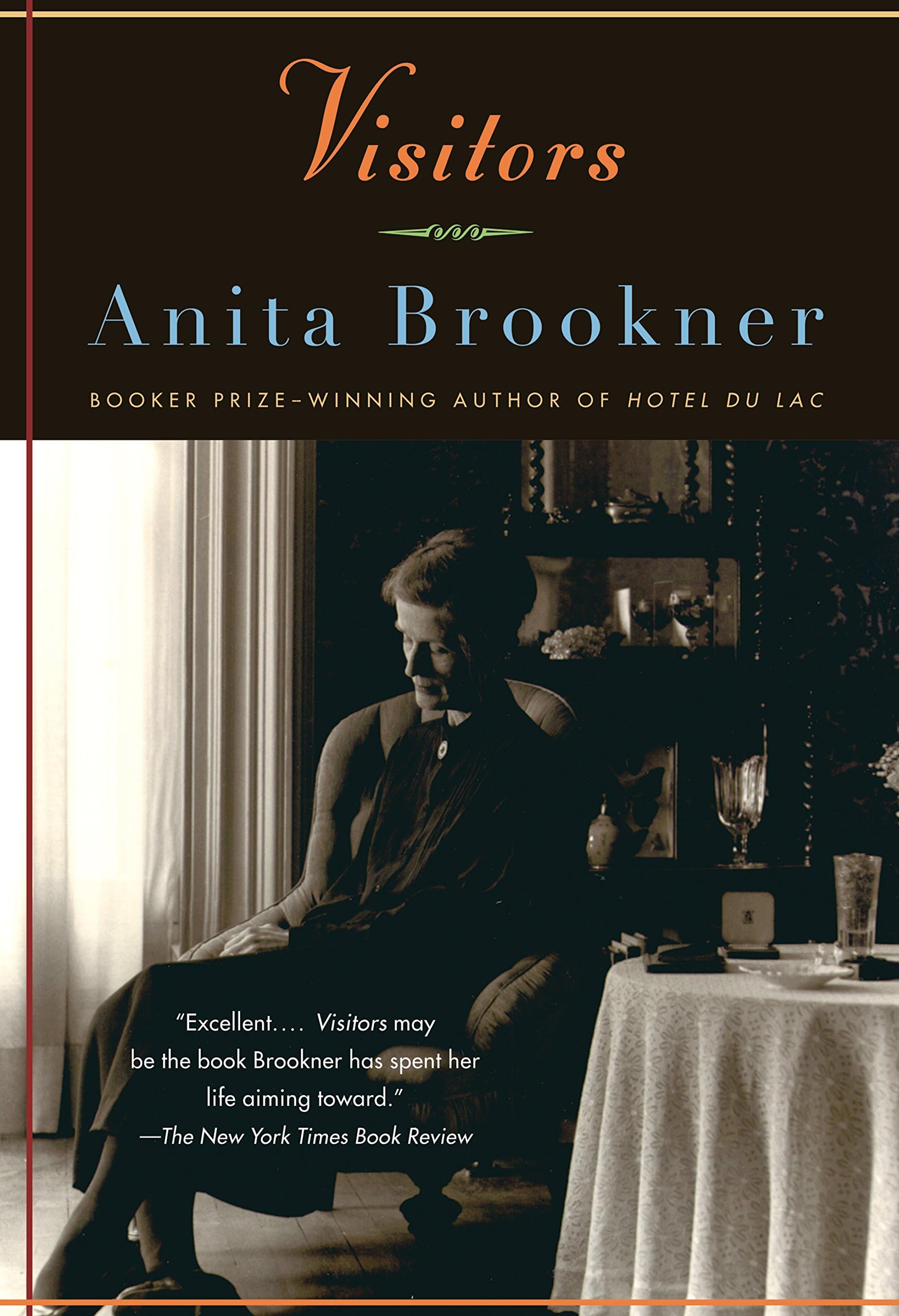 Visitors: A Novel (Vintage Contemporaries)