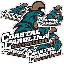 Bandiera Da Giardino Florida State Seminoles 13x18 Pollici, In Poliestere Marrone Per Tifosi - Foto 12