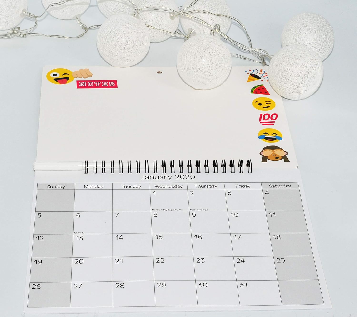 Tallon 3050 - 2020 Illustrated Memo Calendar with Pen: Amazon.co.uk: Office Products