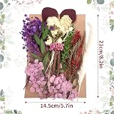 RUGBOL Dried Purple Lavender Flowers - Low Maintenance Floral Decor view 2