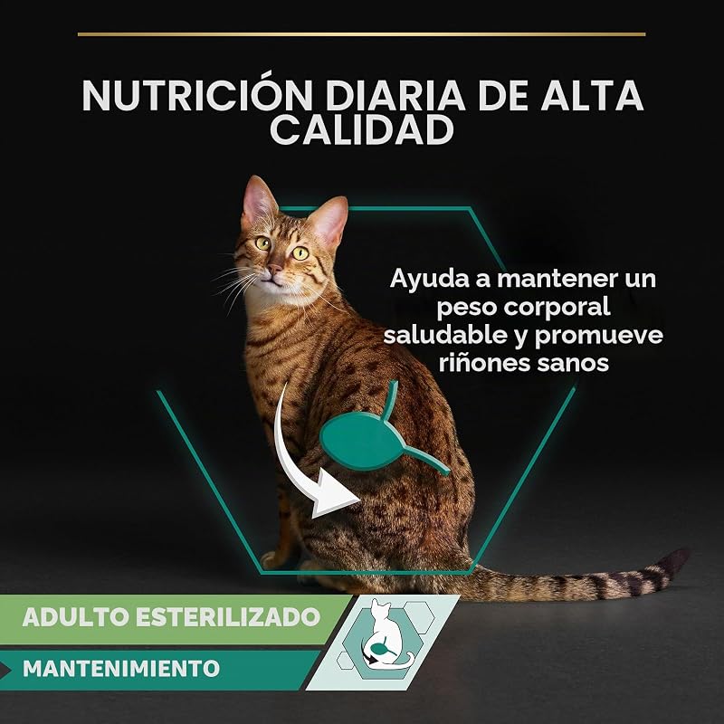 Comida húmeda de Gato Cat Wet NutriSavour Delicado 850 g (Paquete de 4, Total 40 Bolsas)