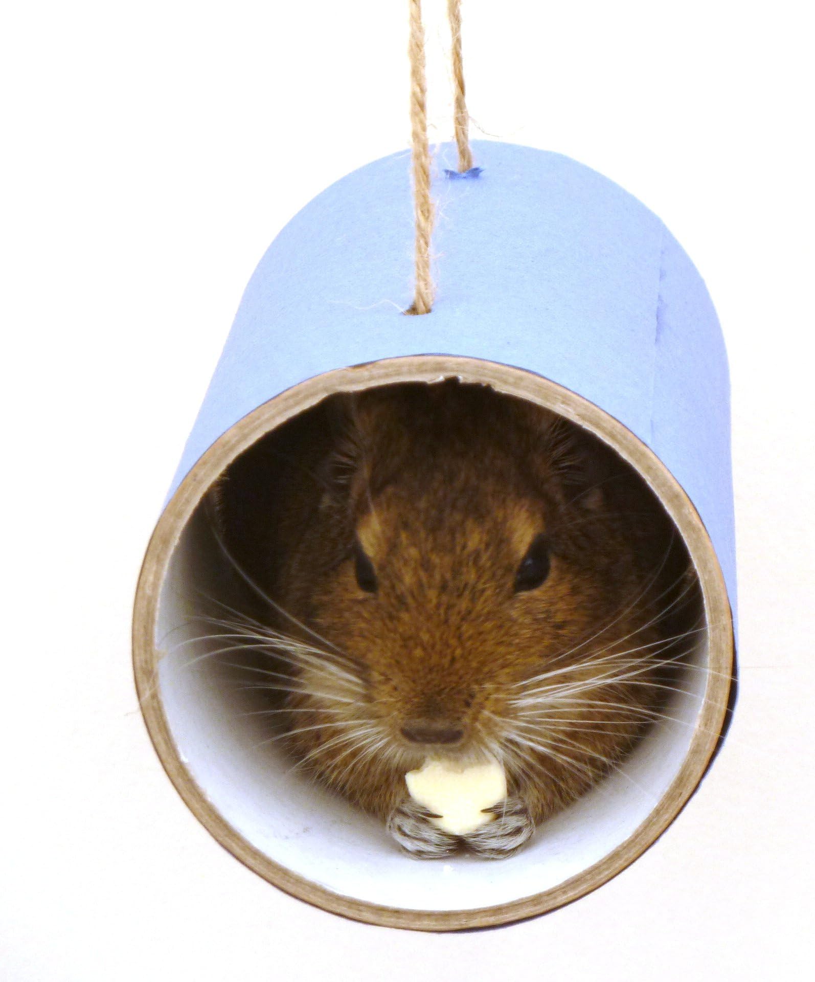 Chewchewbs Totally Degu 4 pack (Blue)