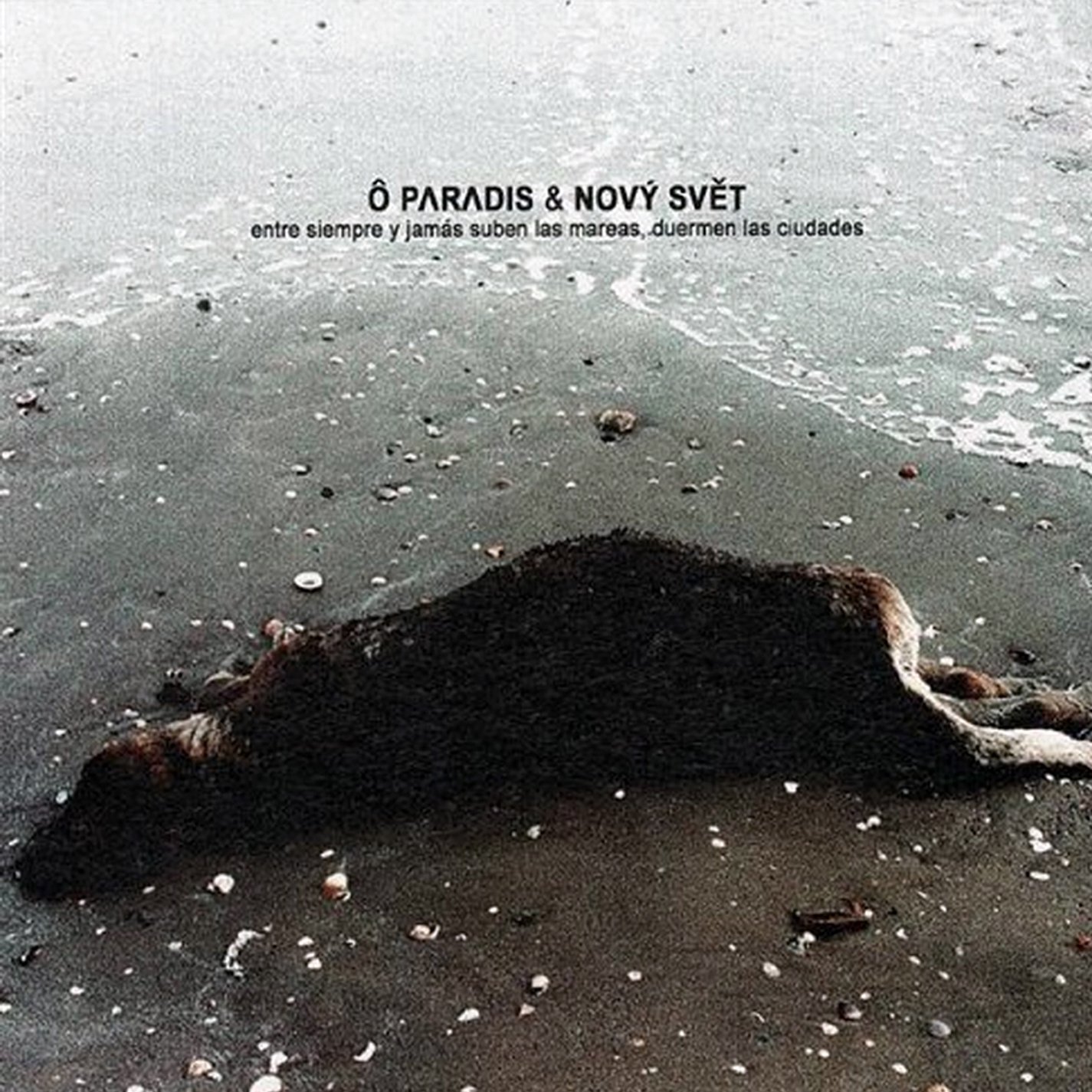 O Paradis Novy Svet Entre Siempre Amazon Com Music