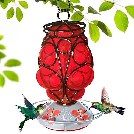 Amazon Com Grateful Gnome Hummingbird Feeder Hand Blown