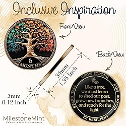 MilestoneMint Affirmation Sobriety Coin Gift Set