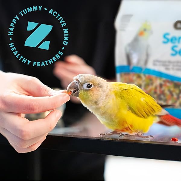 ZUPREEM SENSIBLE SEED BIRD FOOD, AMAZON, COCKATOO, MACAW, BIRD SEED AND PELLETS BLEND, ZUPREEM FEED MIXER TOPPER, ENRICHING VARIETY, MADE IN USA, MACAW FOOD, (LARGE, 2 LB BAG)