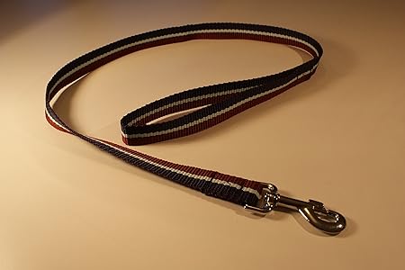 dog leads amazon uk