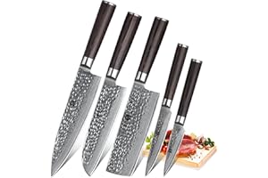 XINZUO 5-Piece Damascus Steel Kitchen Knife Set, Chef Santoku Nakiri Slicing Utility Knife Hammered Forging Damascus Kitchen 