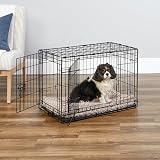 New World 30-Inch Double Door Dog Crate for Medium Dogs 11-18 kg view 2
