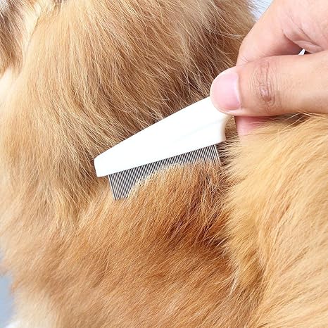 2pcs Pet Dog Hair Flea Comb Stainless Pin Dog Cat Grooming Brush