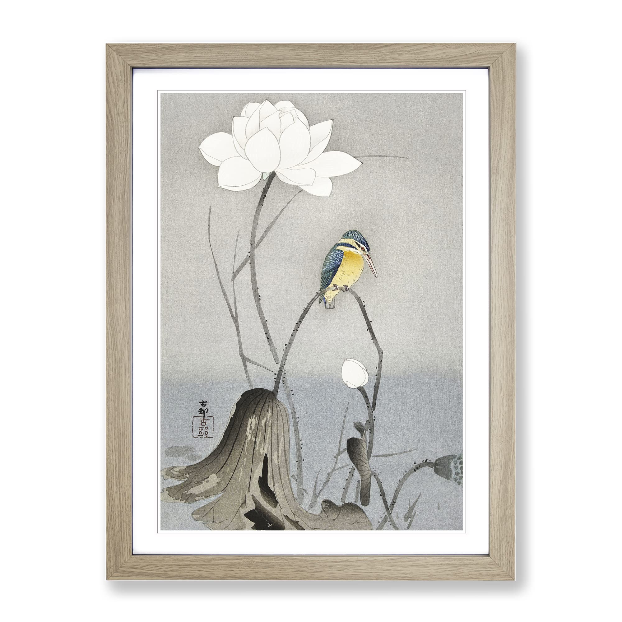 Kingfisher With Lotus Flower By Ohara Koson Asian Japanese Framed Wall Art Print, Ready to Hang Picture for Living Room Bedroom Home Office Décor, Oak A3 (34 x 46 cm)