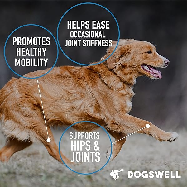 DOGSWELL HIP AND JOINT SUPPLEMENT FOR DOGS – SOFT CHEWS WITH GLUCOSAMINE, CHONDROITIN, MSM, BOSWELLIA & TURMERIC, 1 POUND