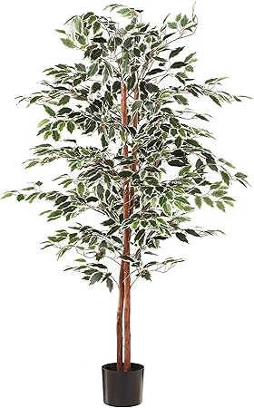 Amazon Com Artificial Ficus Tree With Variegated Leaves And Natural Trunk Beautiful Fake Plant For Indoor Outdoor Home Decor 5 Ft Tall Topiary By Pure Garden Home Kitchen