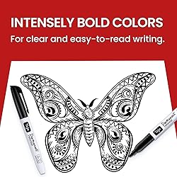 Permanent Markers Fine Tip, 30 Pack Black