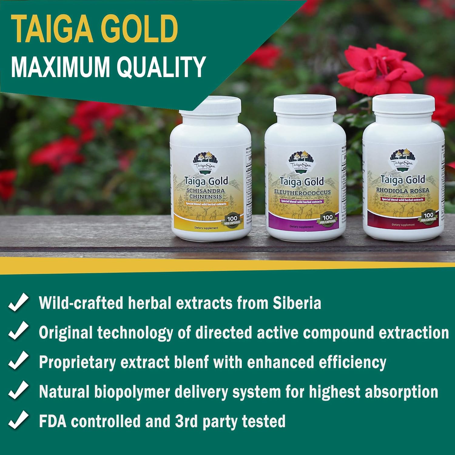 TAIGASEA Rhodiola Rosea Wild-Harvested Herbal Extract, Wild Siberian Root Extract Blend for Natural Stress Relief, Focus, Mood and Mental Refreshment, Optimal Energy and Endurance: Health & Personal Care