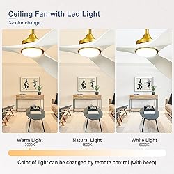 BvenuBigLite 52 Ceiling Fan with Light: White and