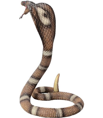Découvrez les secrets de l'anaconda : un serpent géant aux dimensions