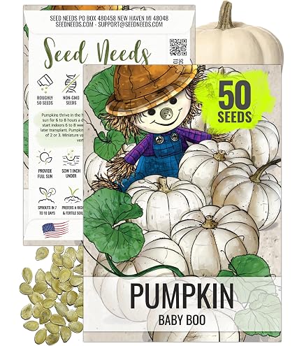 Hooligan Pumpkin Seeds – Fresh Vegetable Seeds For Fall, Spring & Summer Planting – Annual, Full Sun